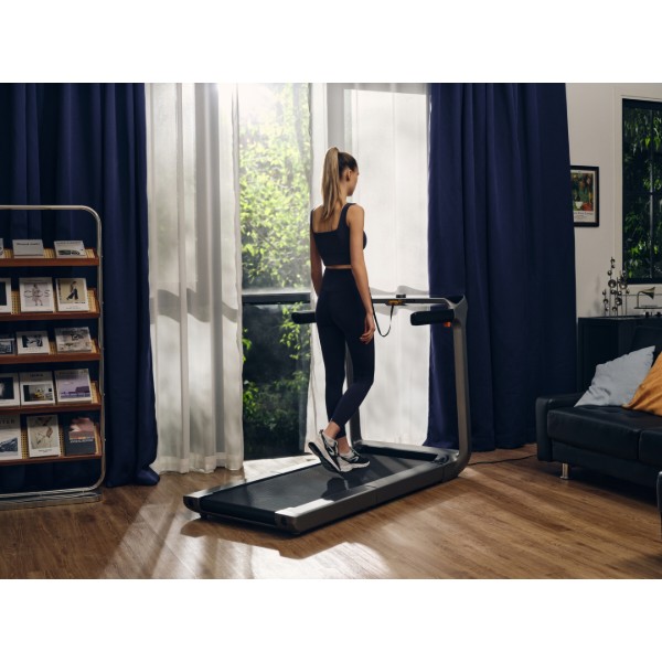 Фото - Беговая дорожка KingSmith WalkingPad Treadmill X218